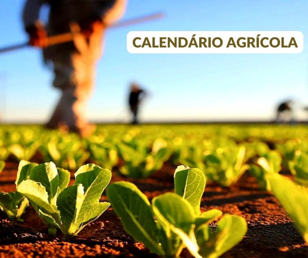 UNICAFES Calendário Agrícola da Agricultura Familiar Orientações e Uso